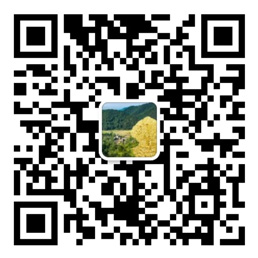 彩神8官网下载